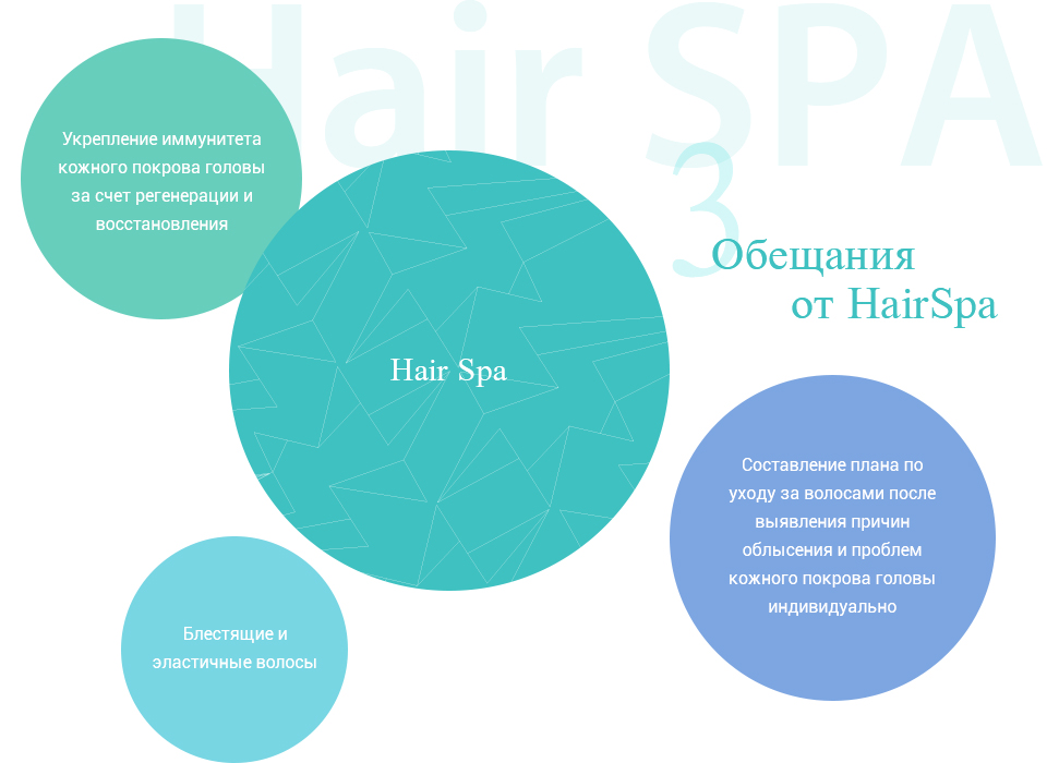 Hair Spa - Укрепление иммунитета кожного покрова 
                головы за счет регенерации и восстановления, Составление плана по уходу за волосами после 
                выявления причин облысения и проблем кожного покрова головы индивидуально, 
                Блестящие и эластичные волосы